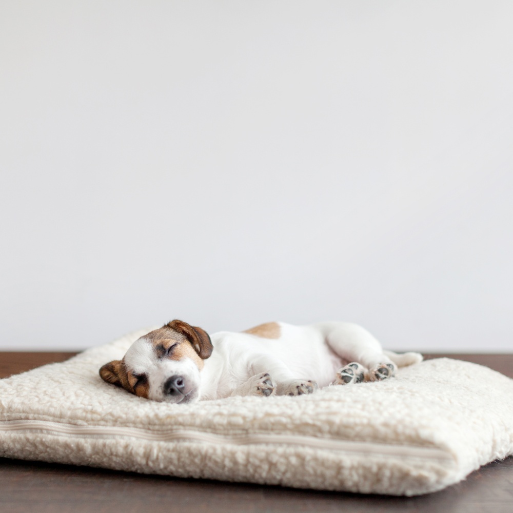 afra fabricacion de cojines